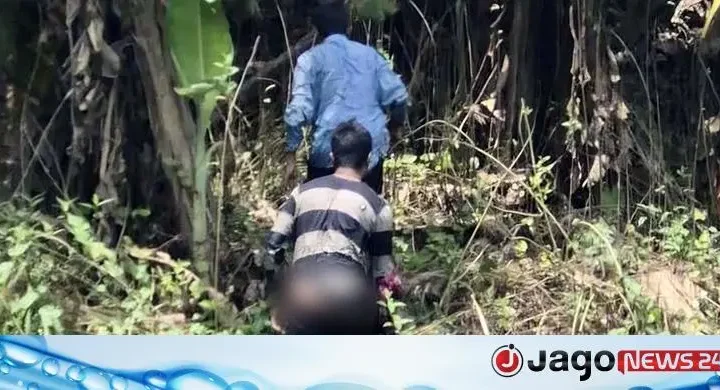 ঝিনাইদহ সীমান্তে ফের বিএসএফের পুশ-ইন চেষ্টা রুখে দিলো বিজিবি