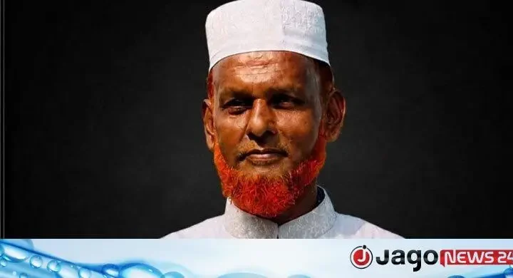 রিকশায় মাইক্রোবাসের ধাক্কা, বিএনপি নেতা নিহত