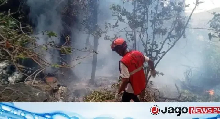 কেনিয়ায় হেলিকপ্টার বিধ্বস্ত হয়ে স্ত্রীসহ ইকুয়েডরের গোয়েন্দাপ্রধান নিহত