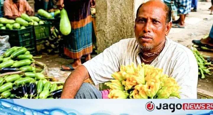 মাগুরায় বাজারে কদর বেড়েছে কুমড়ো ফুলের